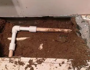 镇远测漏水哪家好