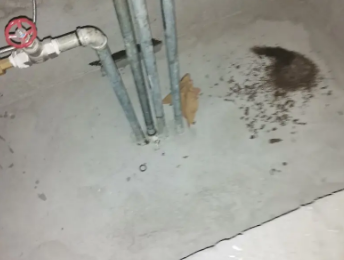 镇远卫生间测漏水价格明细