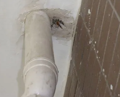 镇远漏水检测哪家好